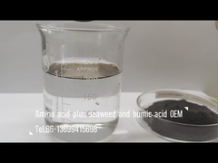 Микс аминокислот с морскими водорослями и соединениями гуминовой кислоты как удобрение для распыления листьев и орошения