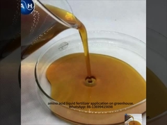 Жидкое деревянное удобрение Листовое опрыскивание Хелатированный бор Кальций Молибден