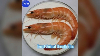 Хелатированный магний