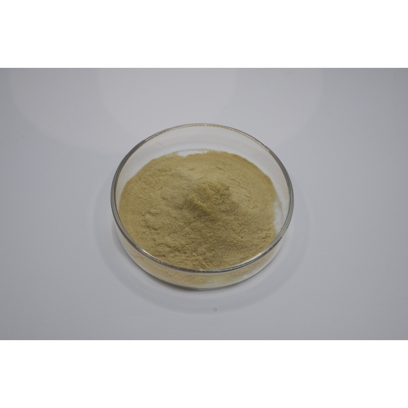Последние блоги о компании From Fermentation to Quality Testing: A Technical Guide to Evaluating 90% Fertilizer Grade Amino Acid Powder