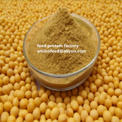 Купить Non-GMO Soy Protein Concentrate with 50% Protein Highly Digestible for Poultry and Aquatic Animals online manufacture