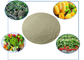 Органические удобрения, содержащие аминокислоты, хелатированный кальций и бор в питании растений