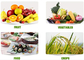 Органические удобрения, содержащие аминокислоты, хелатированный кальций и бор в питании растений