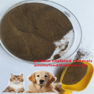 Корм для животных на основе микобактериального белка с содержанием сырого протеина более 70%